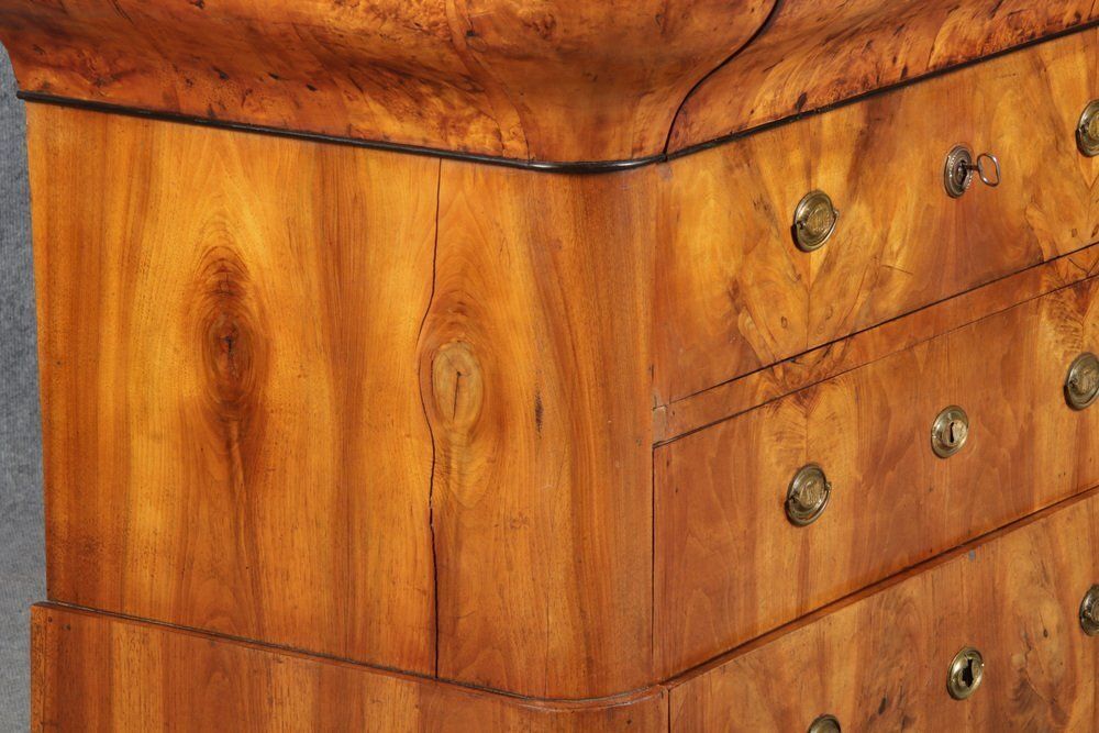 Ancient Biedermeier Walnut Chest Of Drawers, 1850s photo vintage
