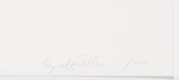 öyvind Fahlström $108 Bill From The New York Collection For Stockholm photo furniture