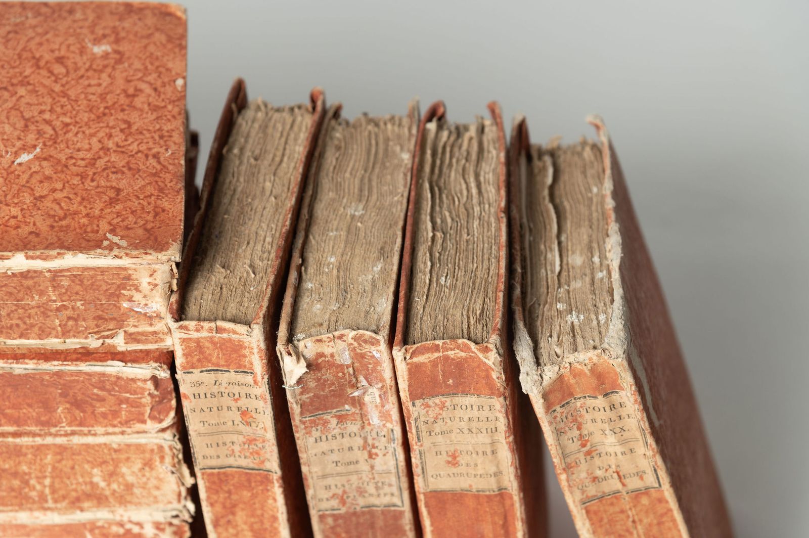 10 Antique French Books, 1800s photo furniture