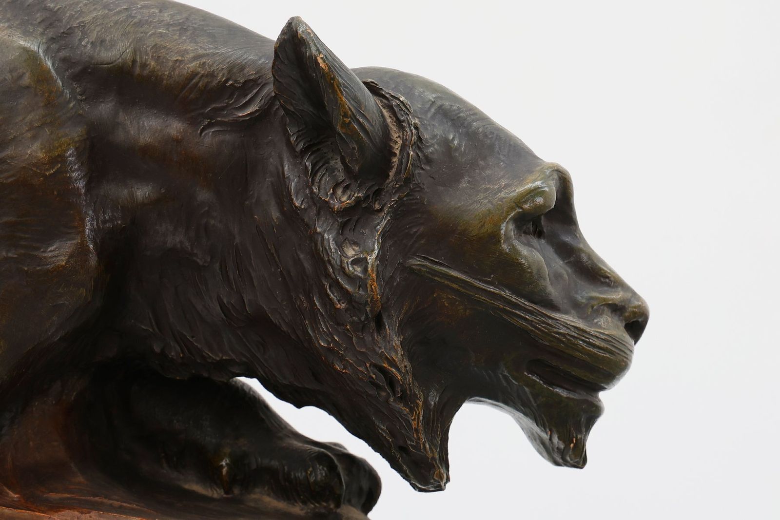 Large Terracotta Statue Of A Lion From Richard Aurili, Italy, 1890s photo 1745.0