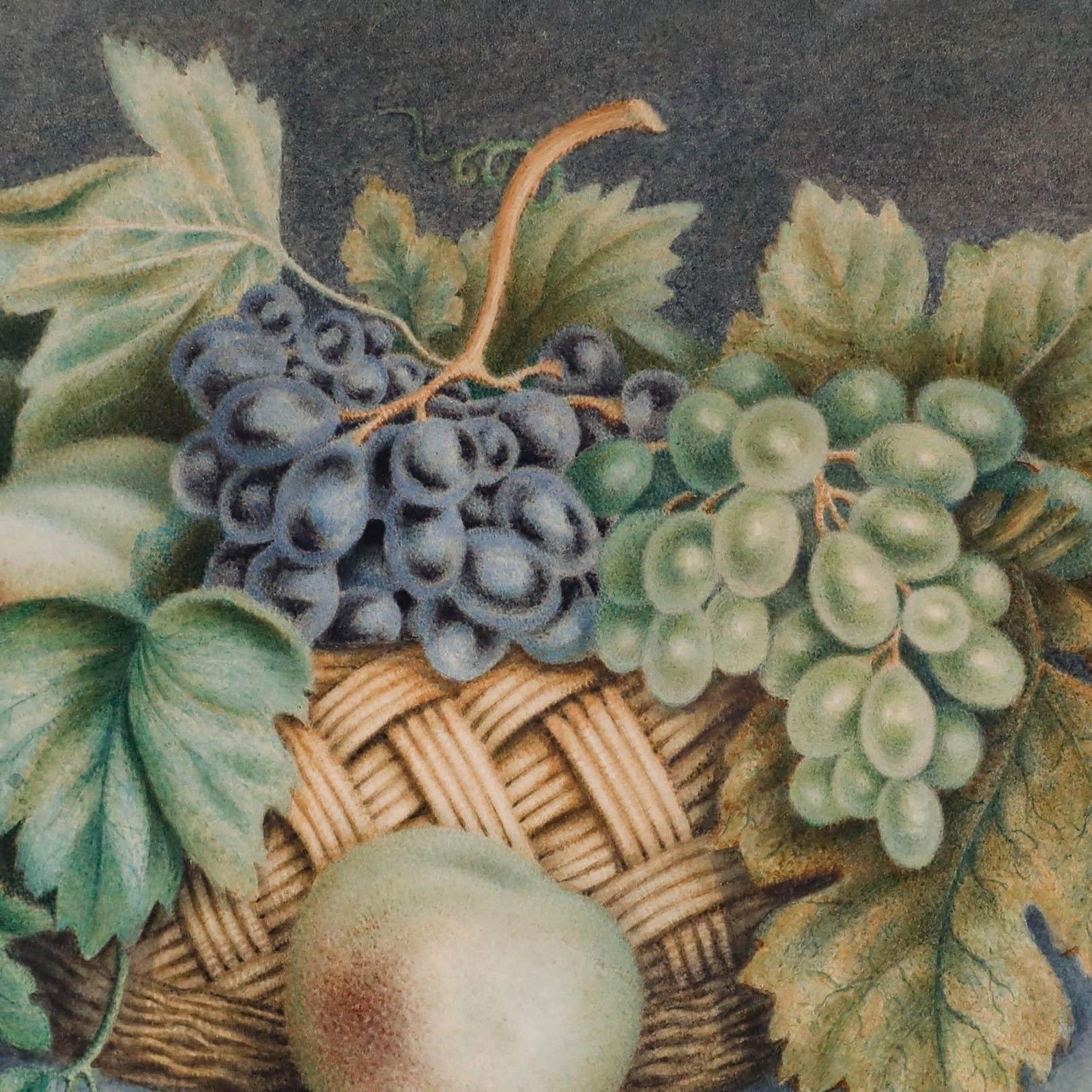 William B. Hough (1819 1897)  Framed Watercolour, Still Life Of Grapes & Peaches photo Art