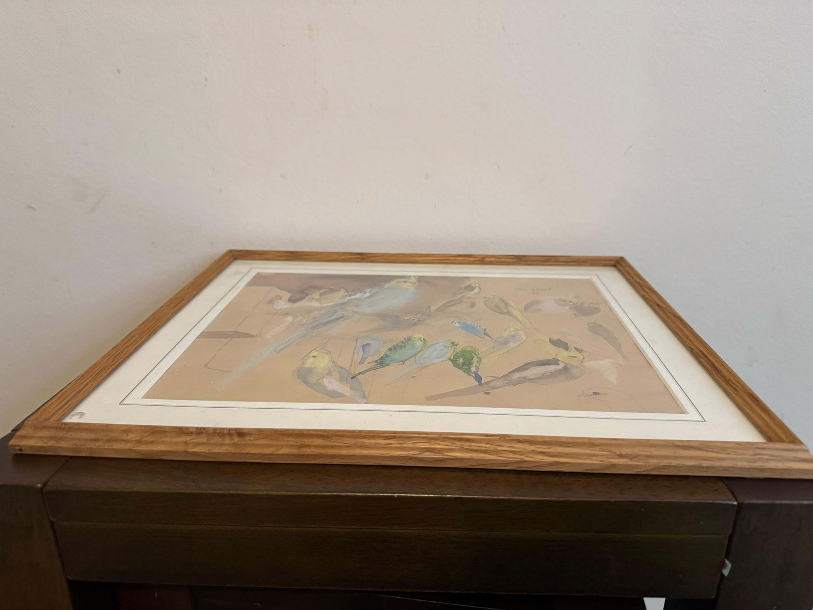 'Budgies And Cockatiels' By John Stanton Ward (1917   2007) photo for sale