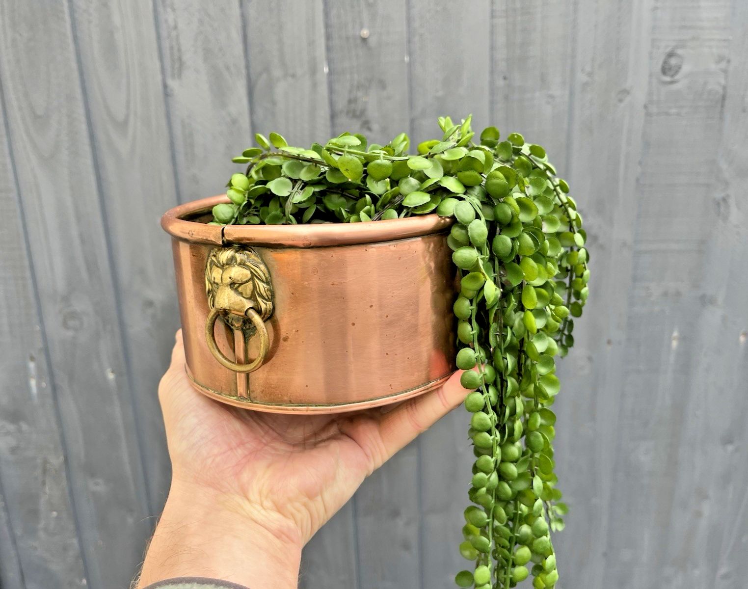 75.0 Antique Victorian Oval Copper Flower Trough Brass Lion Plant Pot Planter Vintage photo
