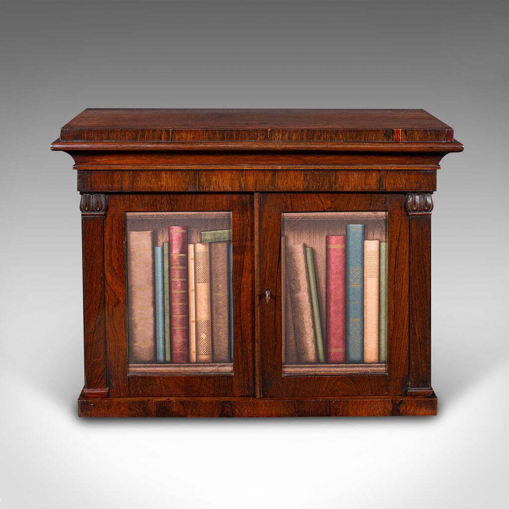 Antique Bachelor's Book Cabinet, English, Tabletop Repository, William IV, 1835 photo for sale