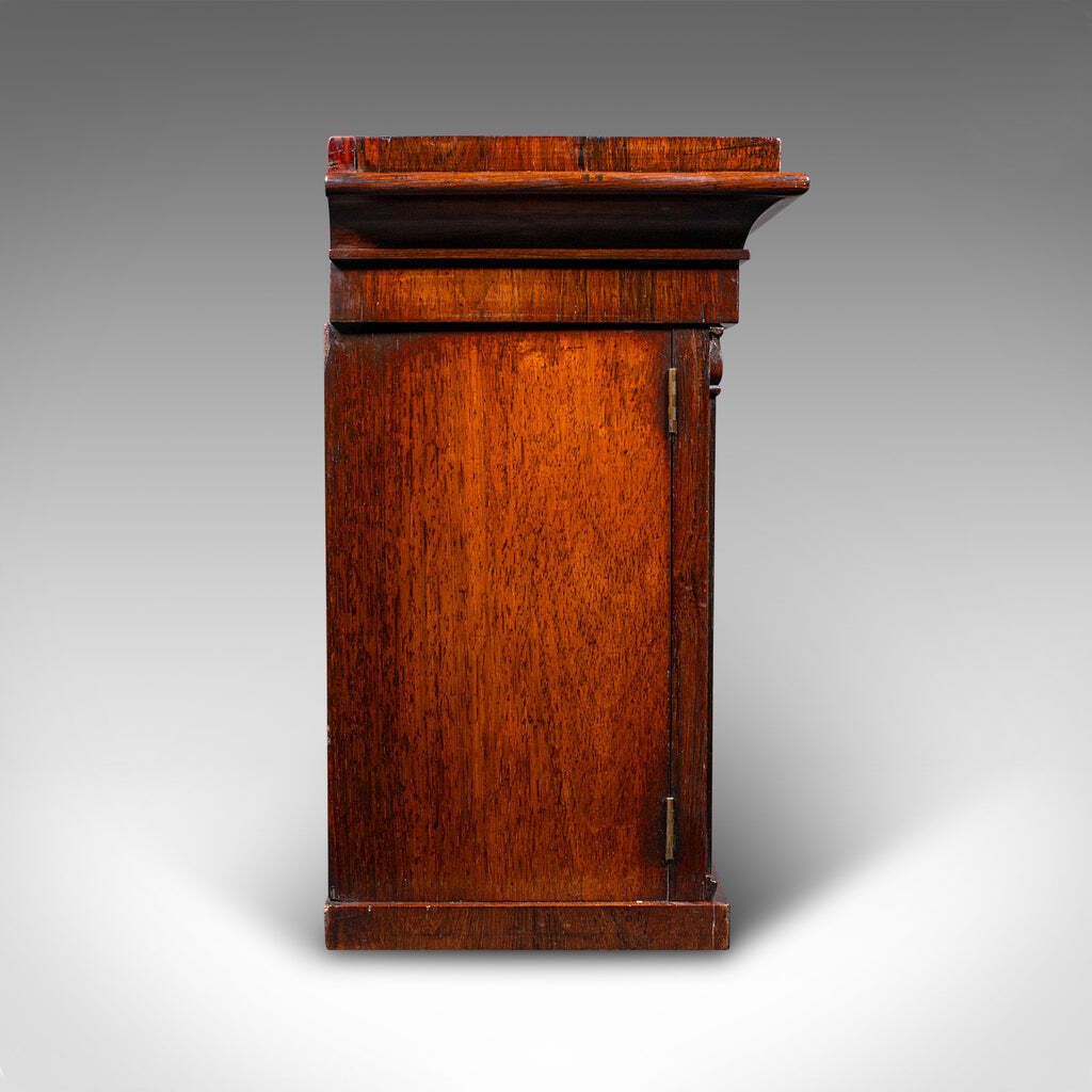 Antique Bachelor's Book Cabinet, English, Tabletop Repository, William IV, 1835 photo 1730.0