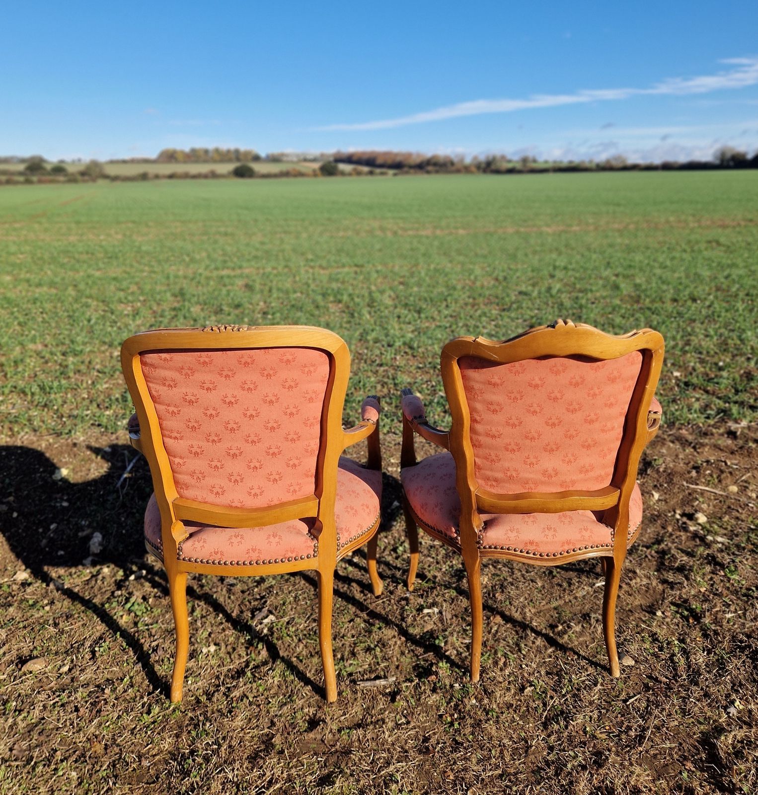 Pair Of Antique Louis XV Style French Armchairs photo buy