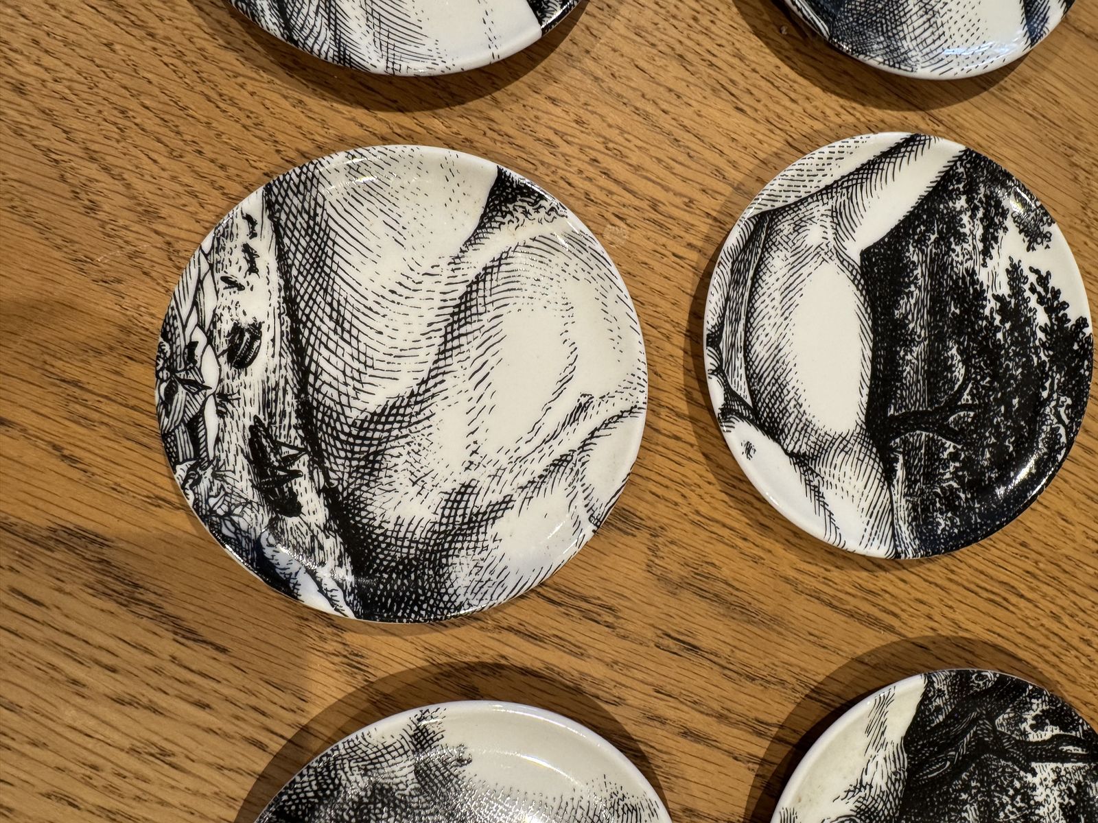 Pieri Fornasetti Adamo Porcelain Coasters Set Of 8 1980 Still Boxed And Unused photo 499.0