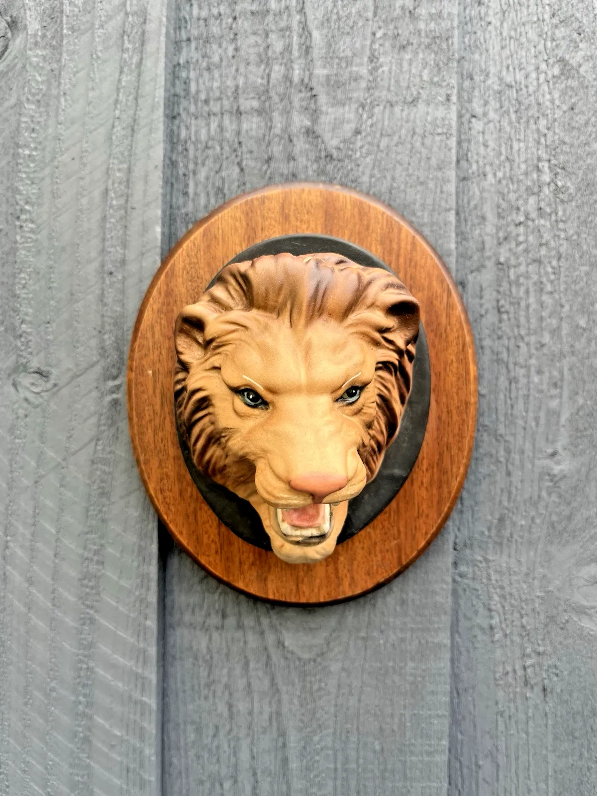 Rare Beswick Matt Lion Mask Head Wall Plaque Teak Mounted Wild Animals Series photo furniture