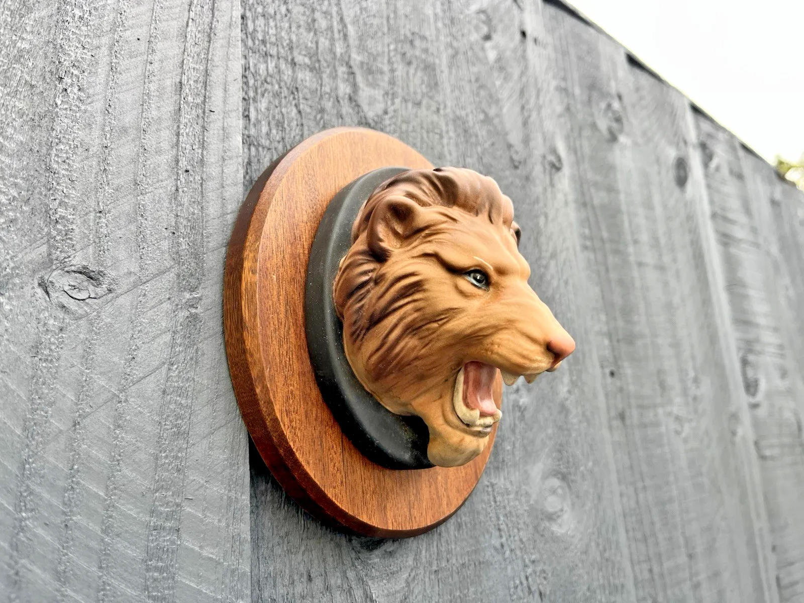 Rare Beswick Matt Lion Mask Head Wall Plaque Teak Mounted Wild Animals Series photo Art