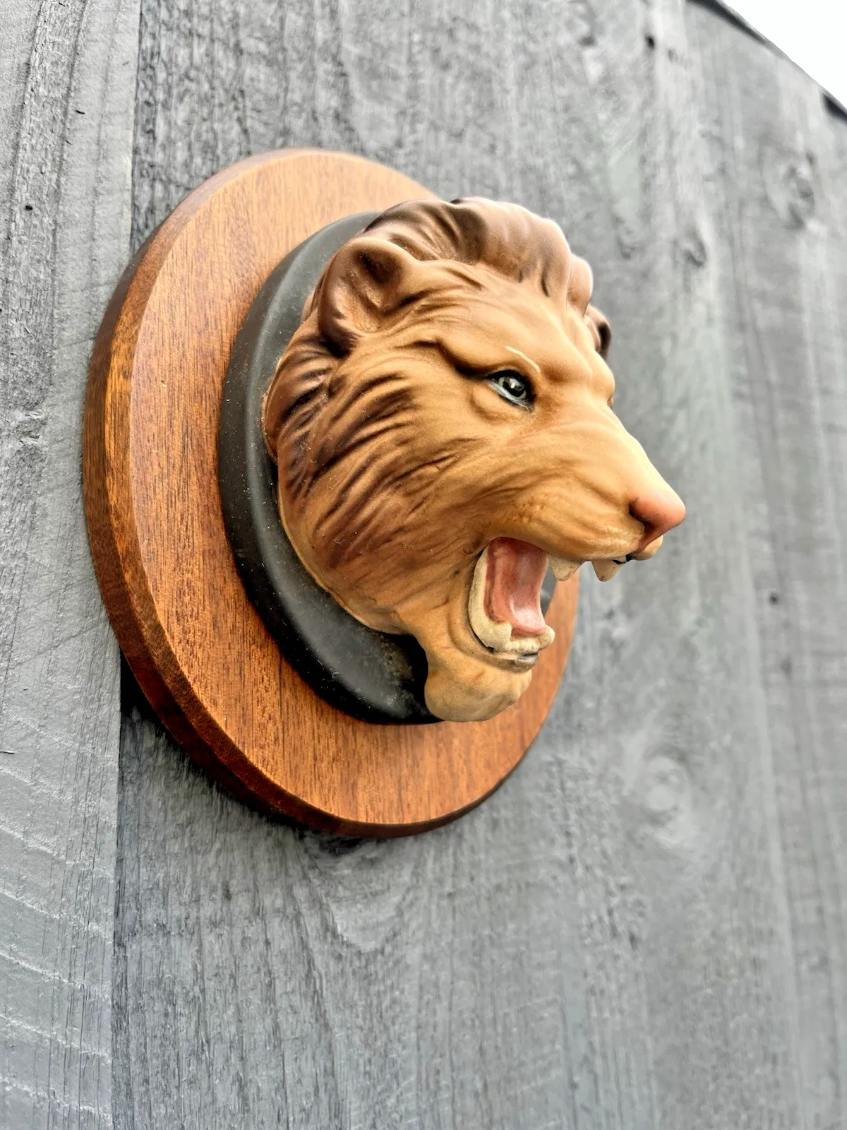 Rare Beswick Matt Lion Mask Head Wall Plaque Teak Mounted Wild Animals Series photo buy