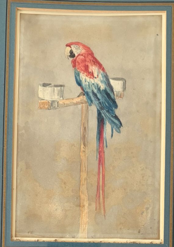 William Andrews Nesfield (1793–1881) “Mother Faux’s Macaw, Farnley Hall” photo furniture