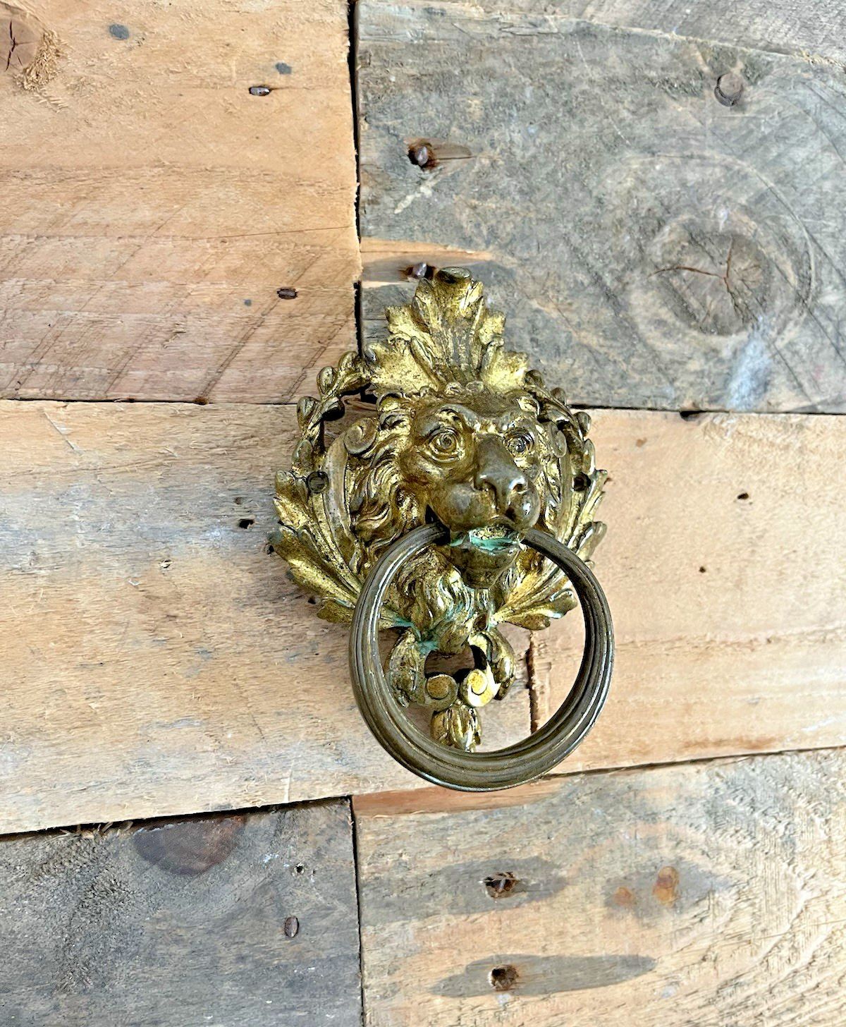 65.0 1 Quality French Antique Lions Head Mask Gilt Brass Door Knocker Or Handle Pull photo