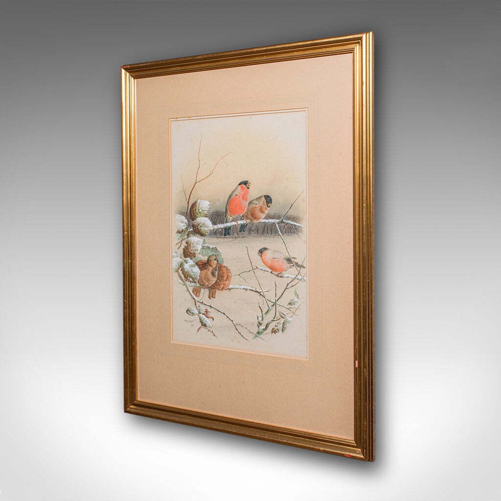 Antique Watercolour Finch Painting, English School, Art, Harry Bright, Victorian photo for sale