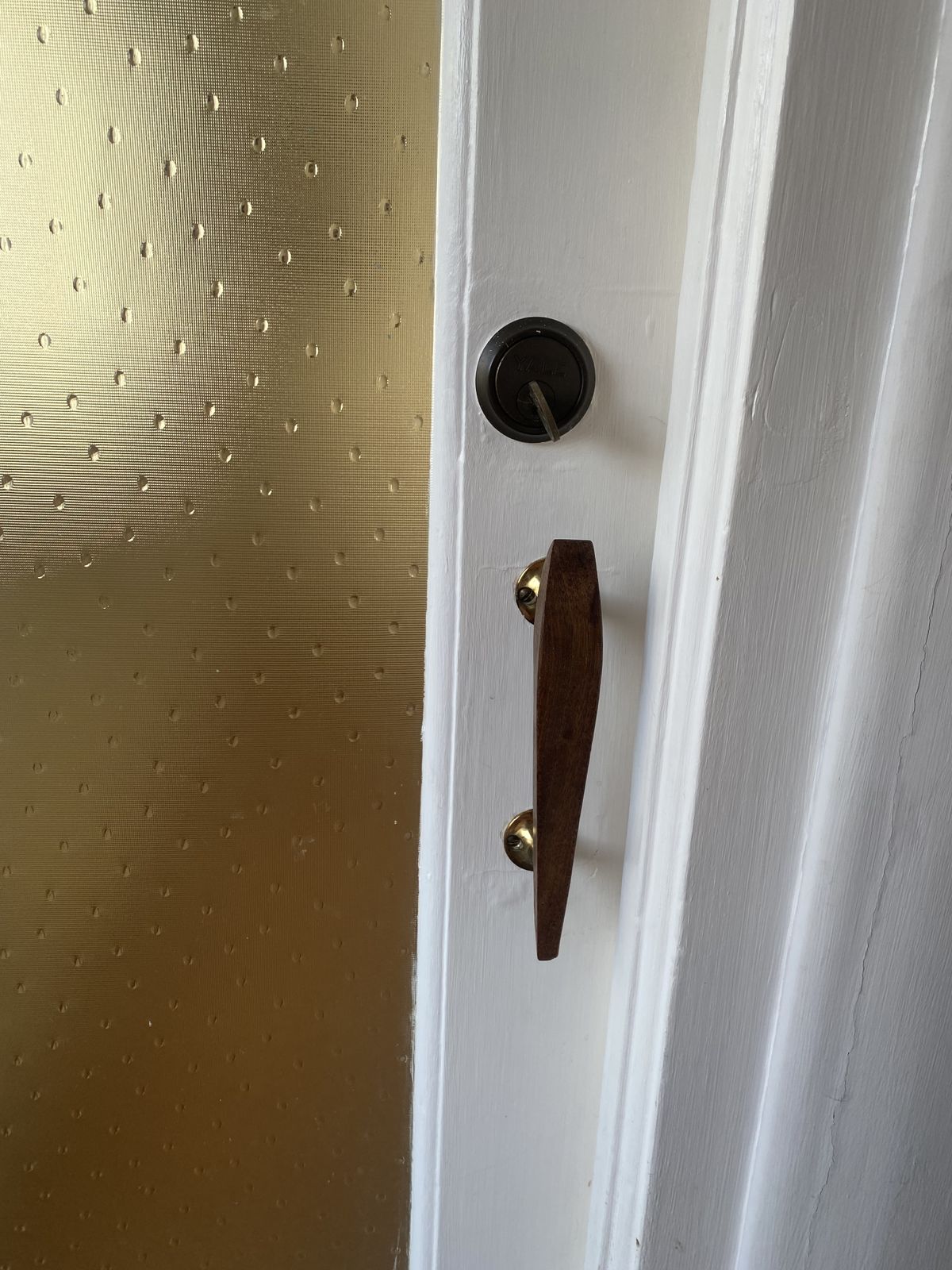 Interior/Exterior Glass Door. 1960’s Excellent Condition. With Original Key. photo for sale
