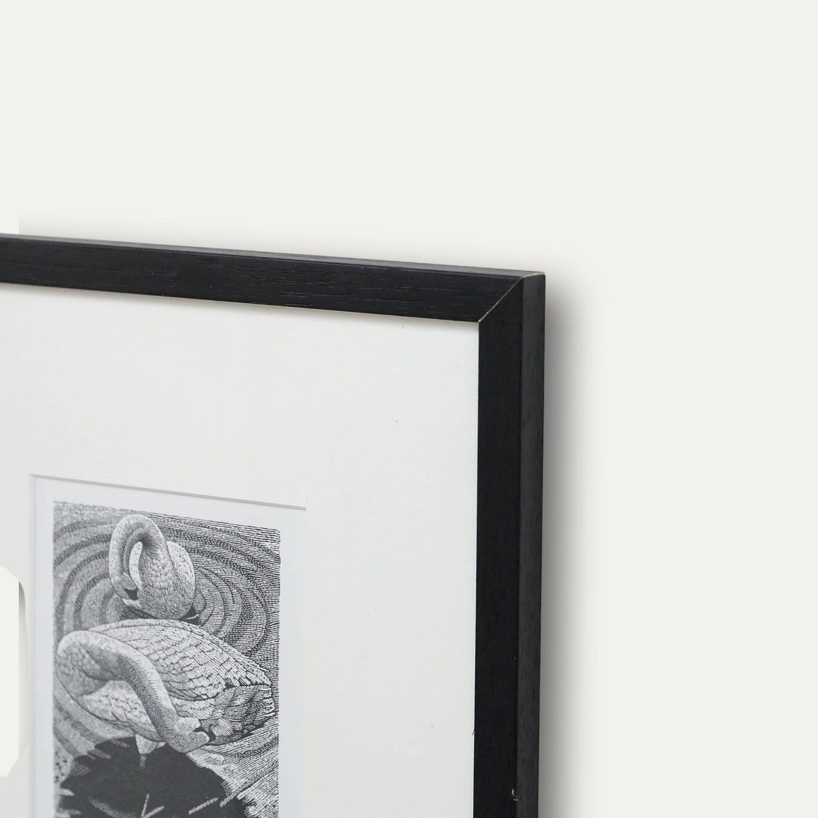 Harry Brockway (1958 2024) 1997 Wood Engraving, Preening Swans photo Art