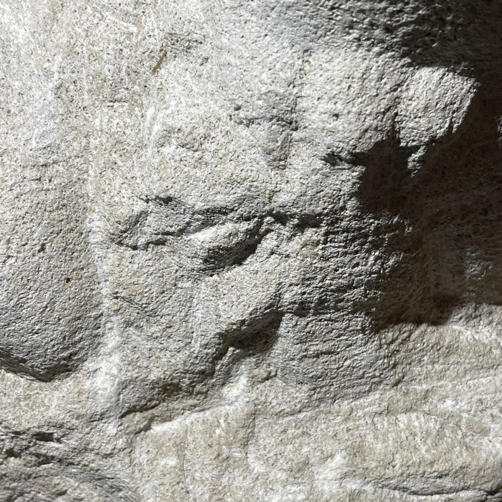 Owls Animal Sculpture In Stone By Herbert Geldhof, 1960s photo vinterior
