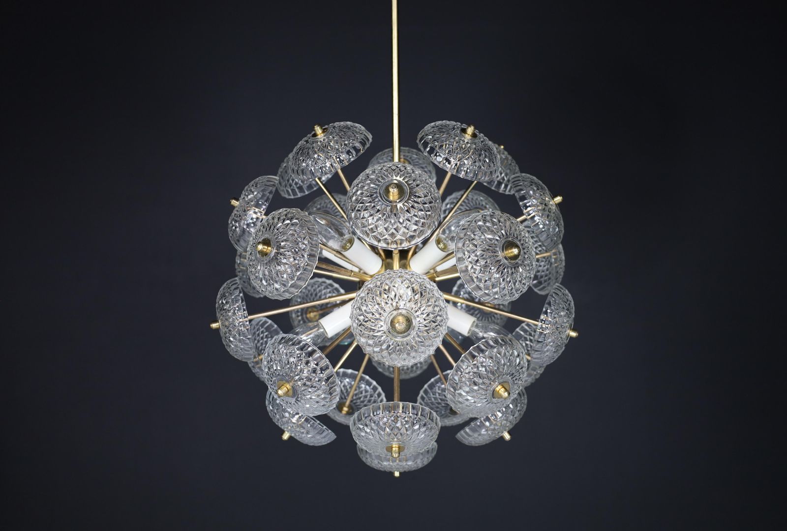 2148.0 Mid Century Modern Brass Floral Glass And Brass Chandelier,  Europe, 1960s photo