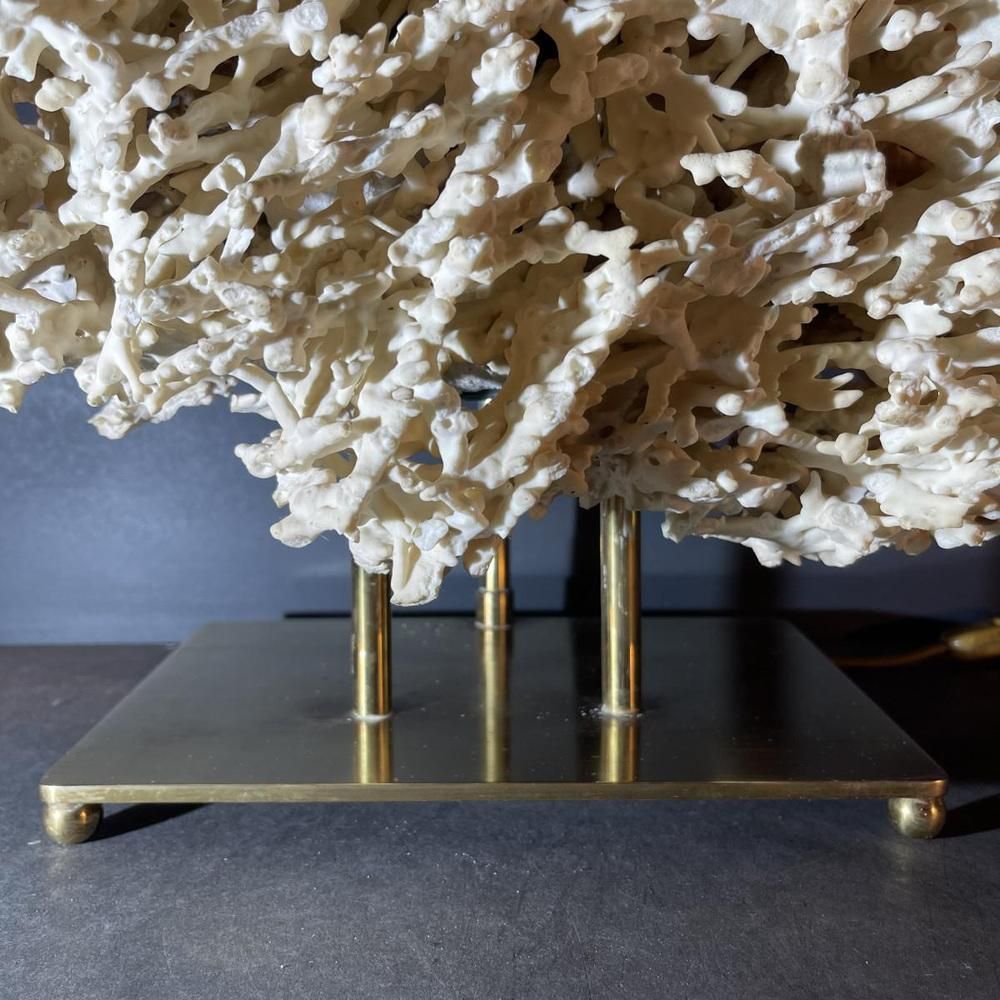 Hollywood Regency Coral Table Lamp In Gilded Bronze Base From Willy Daro 1970s photo 1384.0