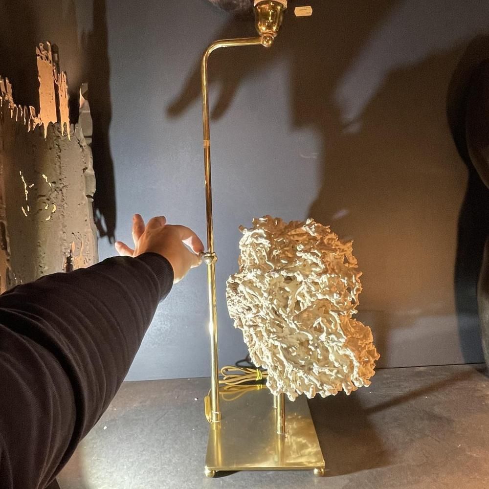 photo for sale Hollywood Regency Coral Table Lamp In Gilded Bronze Base From Willy Daro 1970s