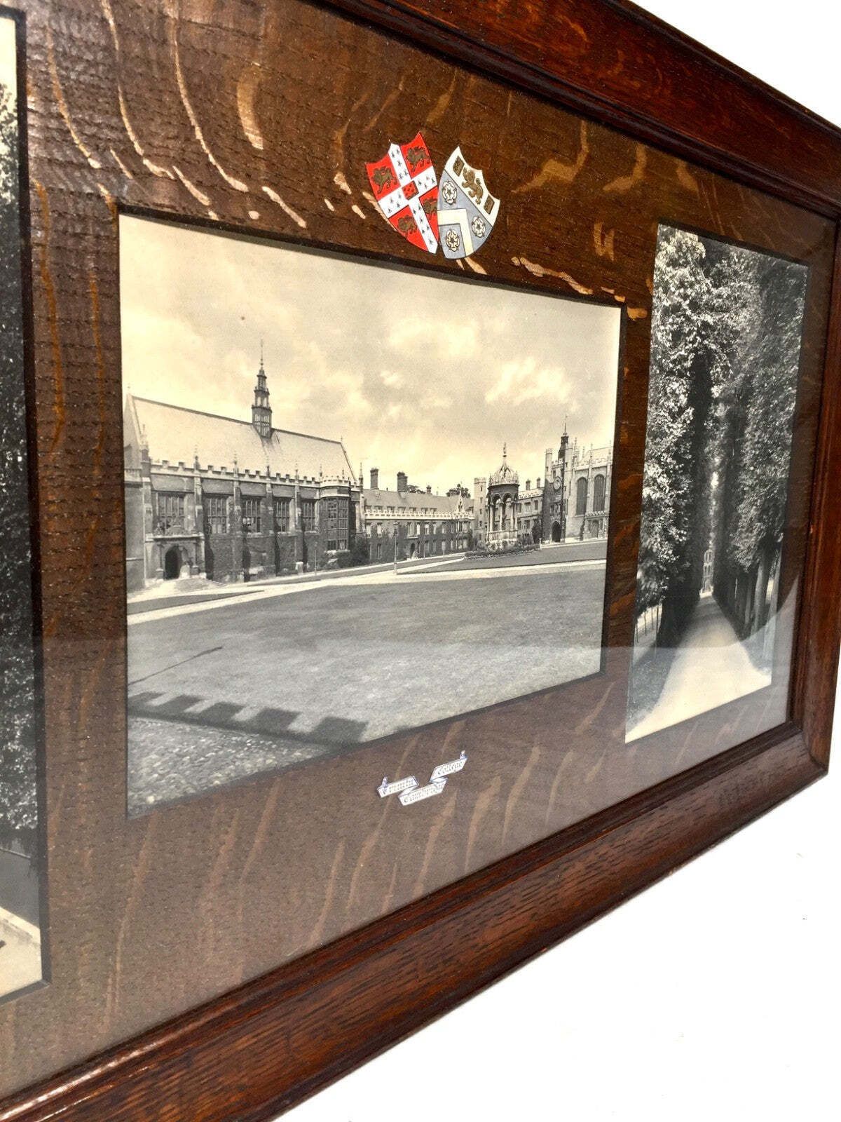 Antique Cambridge Trinity College Presentation Picture / Framed James Rossiter photo vintage