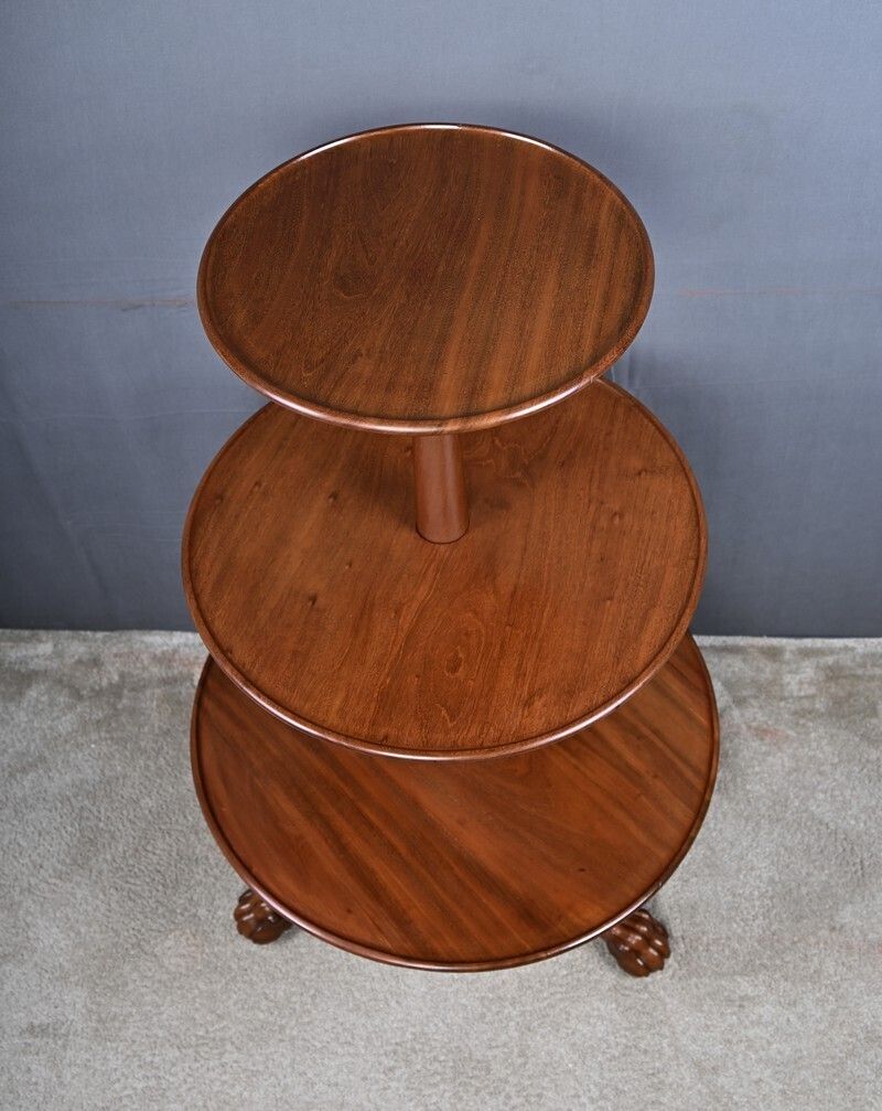 Mahogany Mute Servant, Chippendale Style, England   Late 19th Century photo 2660.0