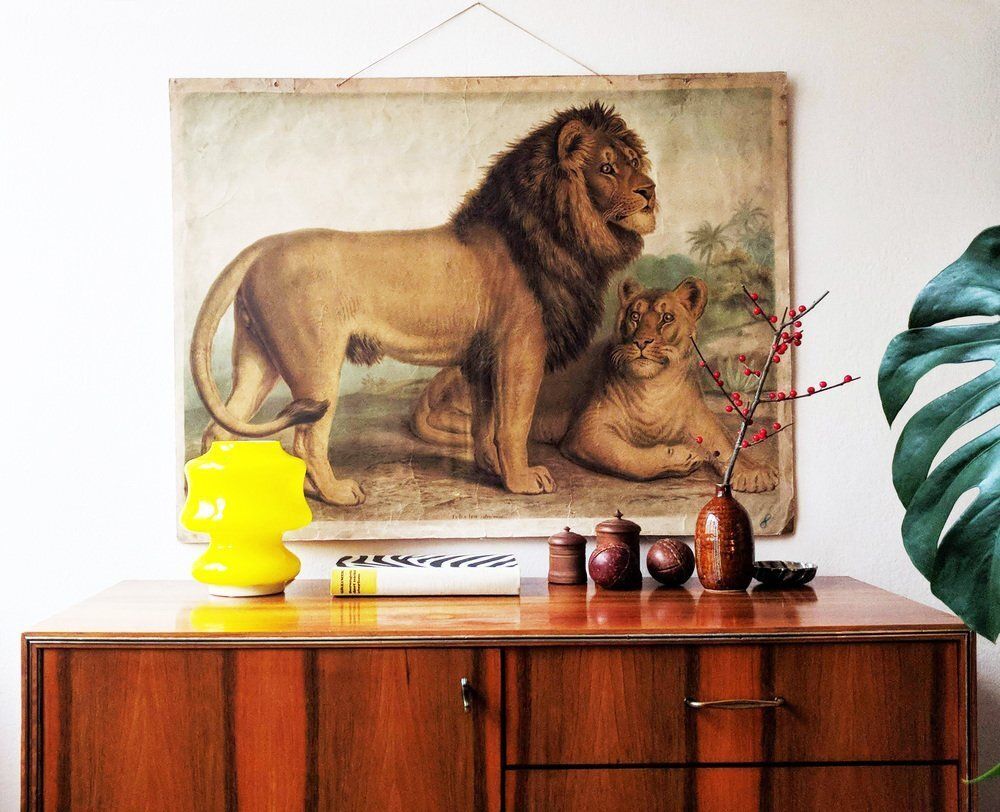 Antique Lion & Lioness Original Educational Wall Chart By A. Pichlers Witwe & Sohn, Vienna, 19th Century photo vintage