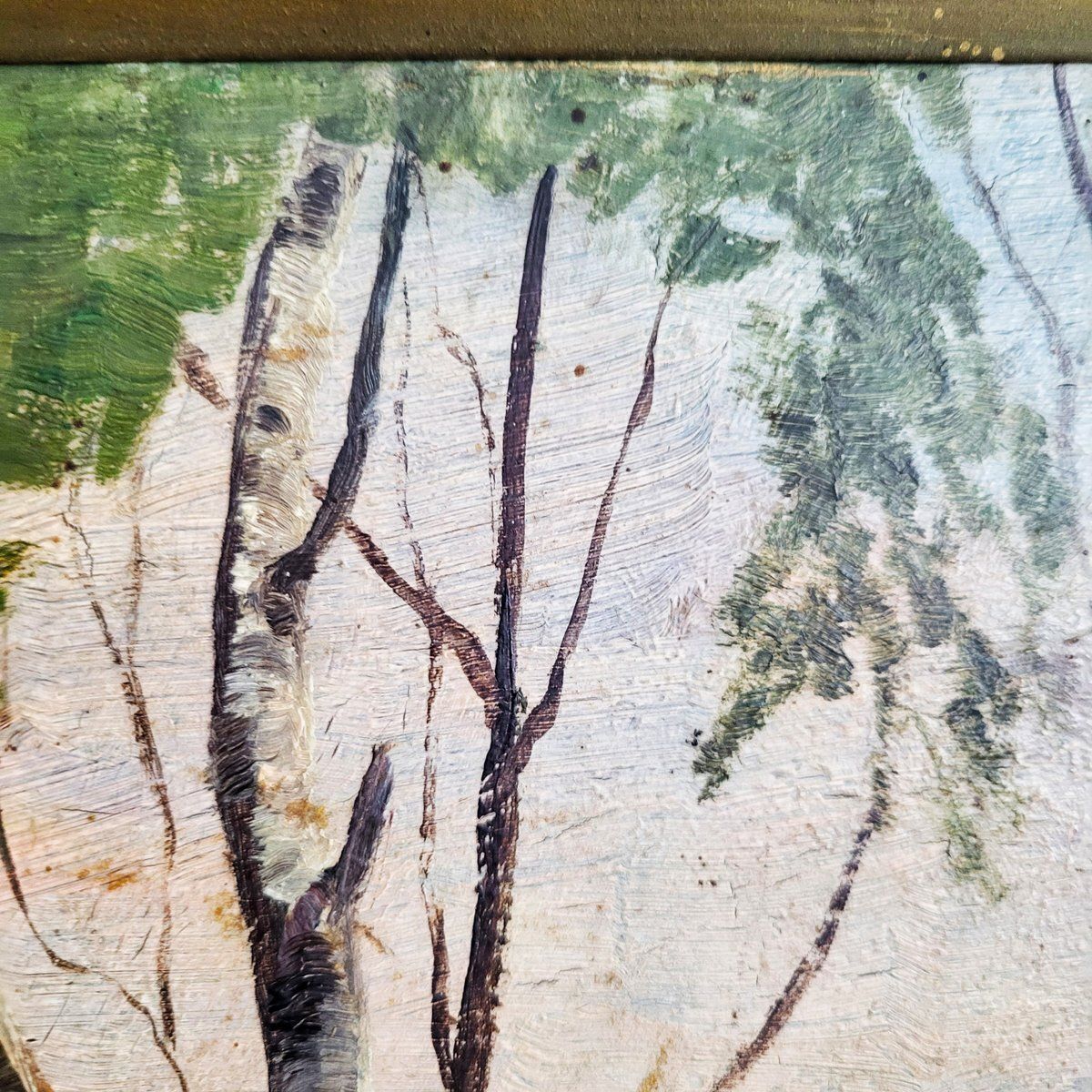 Art Nouveau Birch Trees, 19th Century, Oil Painting, Framed photo for sale
