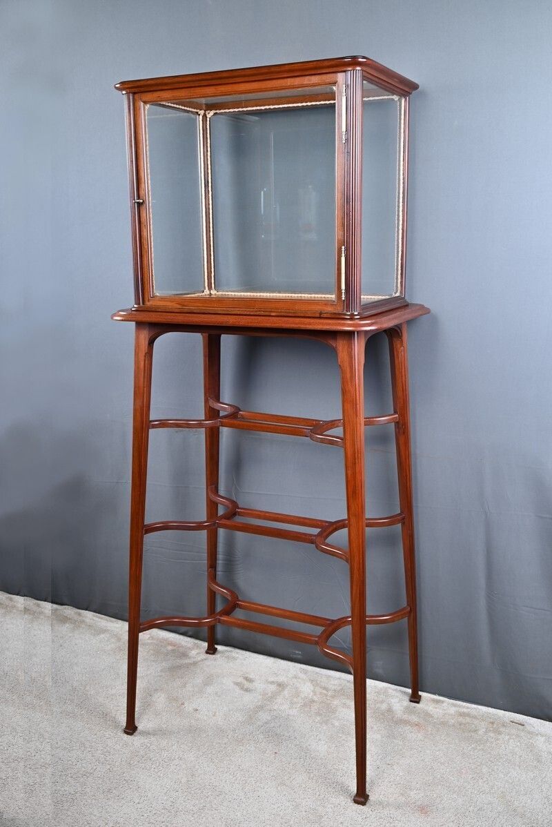Mahogany Display Case, Art Nouveau – 1900 photo Furniture