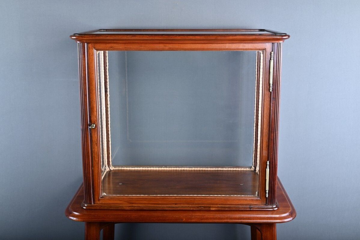 Mahogany Display Case, Art Nouveau – 1900 photo 3840.0