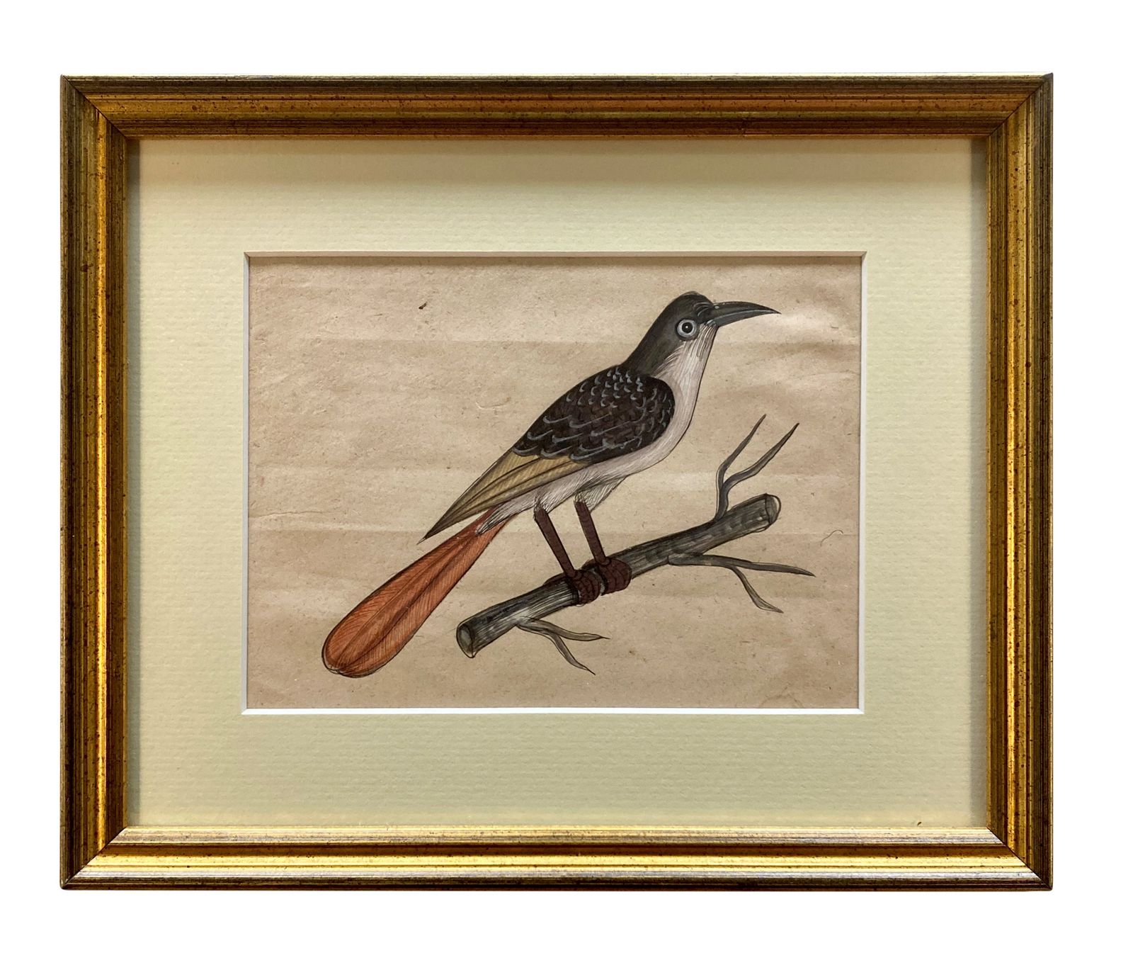 A Collection Of Eleven Early XIX Century Watercolours Of Indian Birds photo vintage