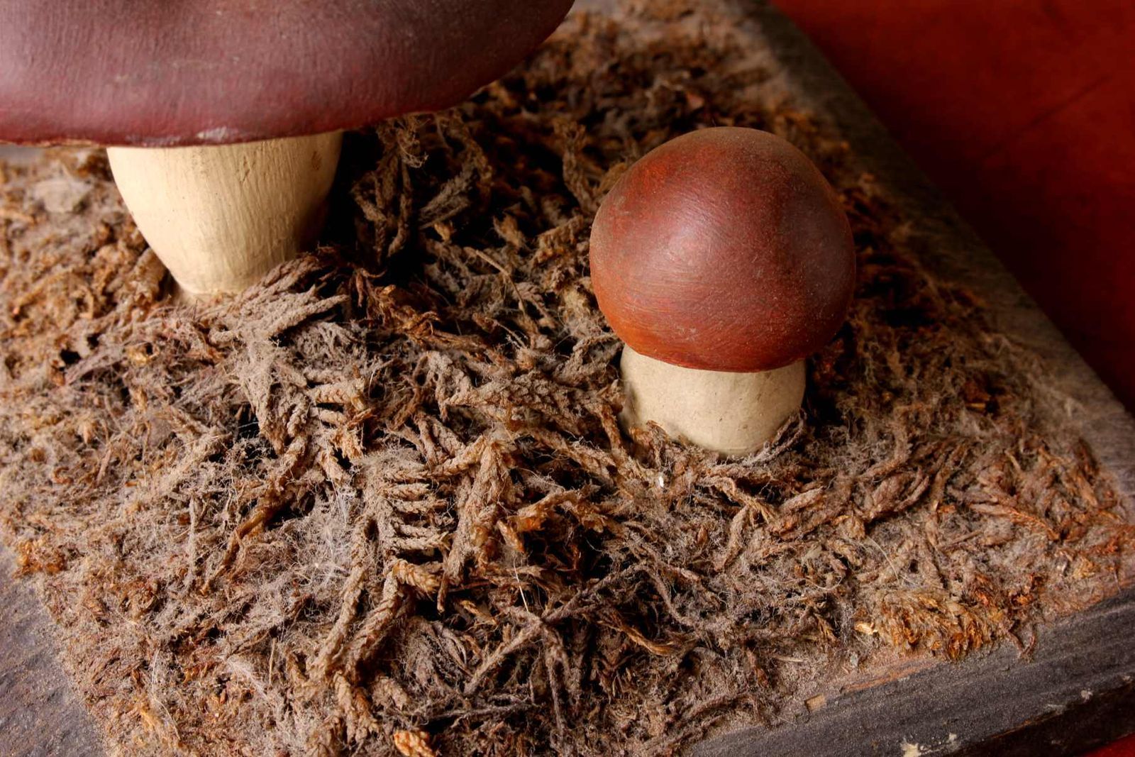 Home Decor Antique Mushroom Model Teaching Aid. Holubinka Revovita. Collectible. photo