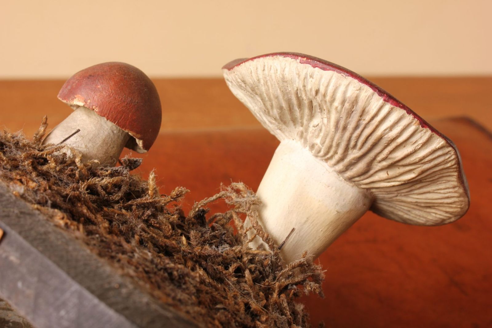 photo buy Antique Mushroom Model Teaching Aid. Holubinka Revovita. Collectible.