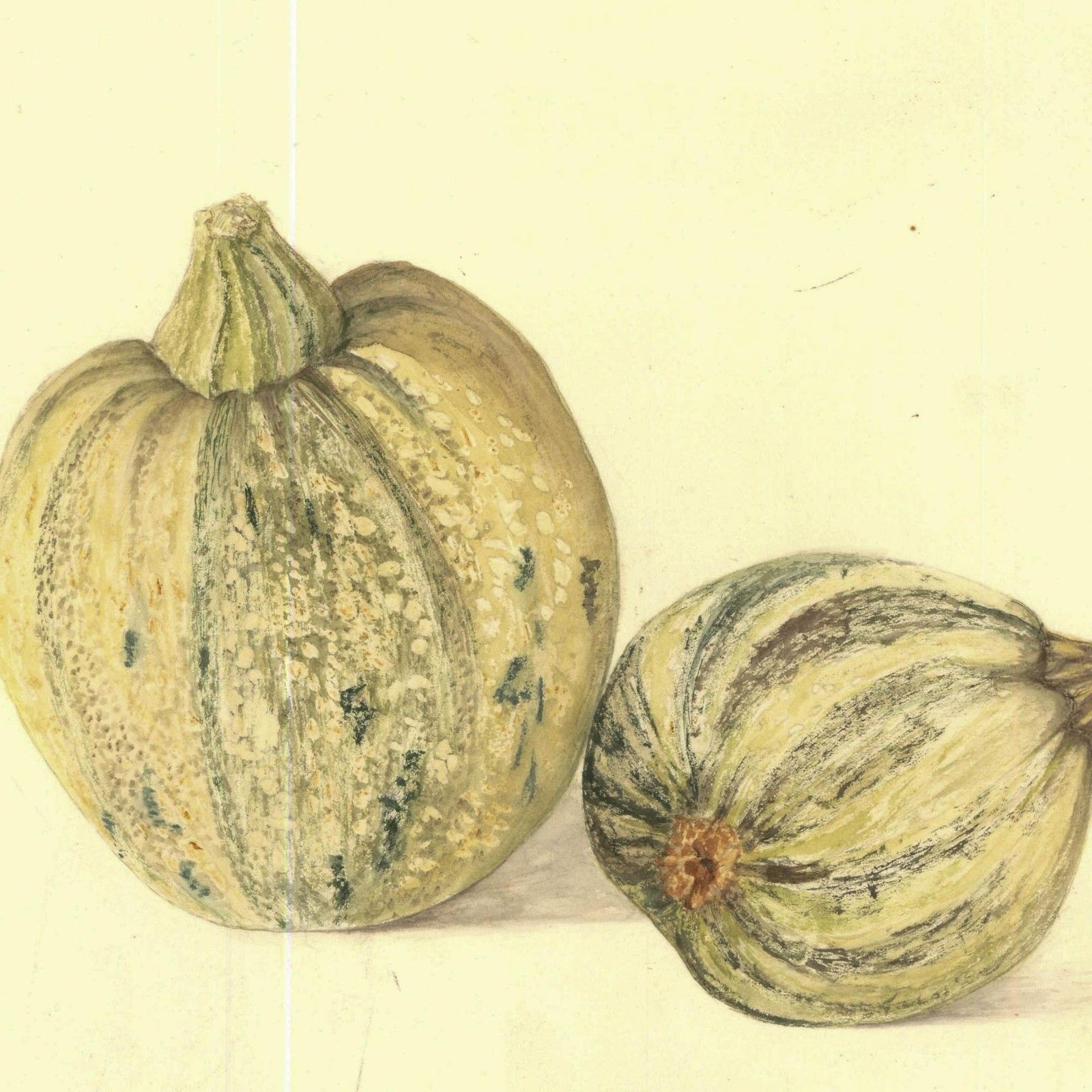 Kathleen Moyra Bellis 20th Century Watercolour, Gourds photo for sale