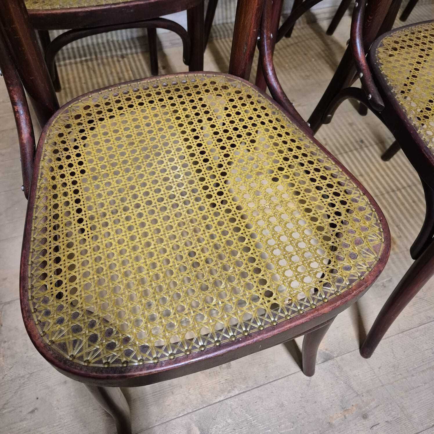 Set Of 6 Dining Chairs, Thonet Style, 1960s, Czechoslovakia photo for sale