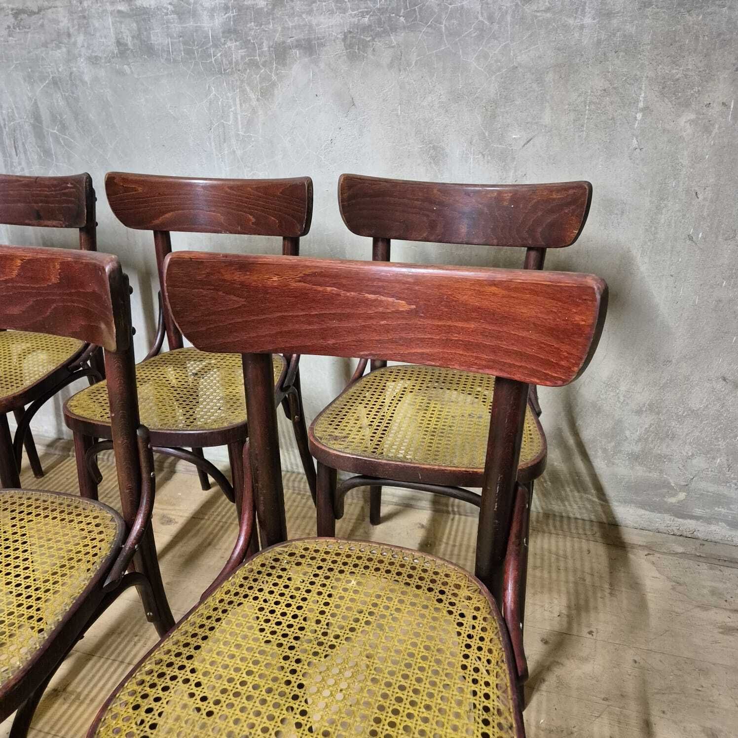 Set Of 6 Dining Chairs, Thonet Style, 1960s, Czechoslovakia photo vinterior