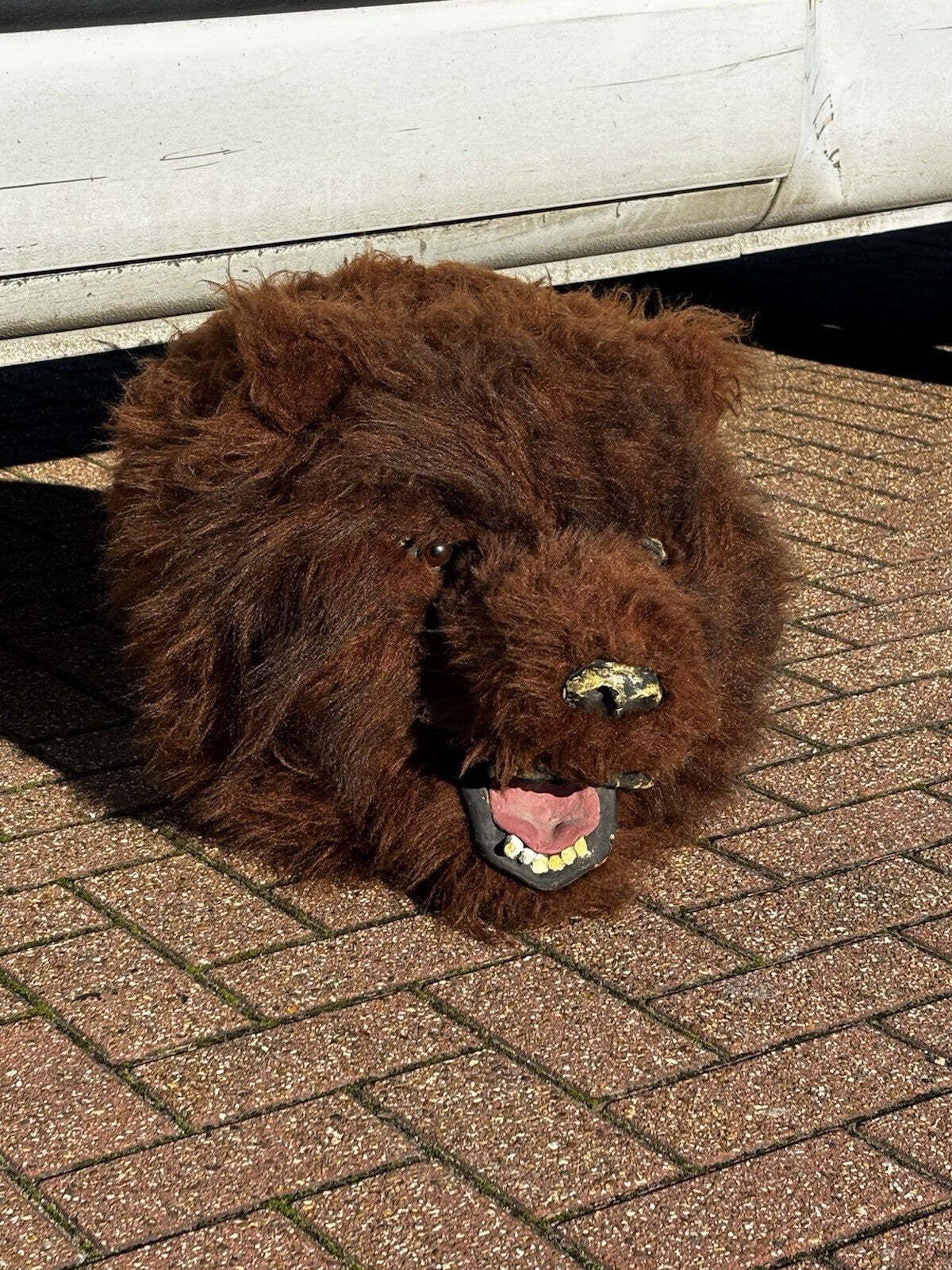 Shop Display Full Size Grizzly Bears Head (This Is Not A Real Bears Head) photo furniture
