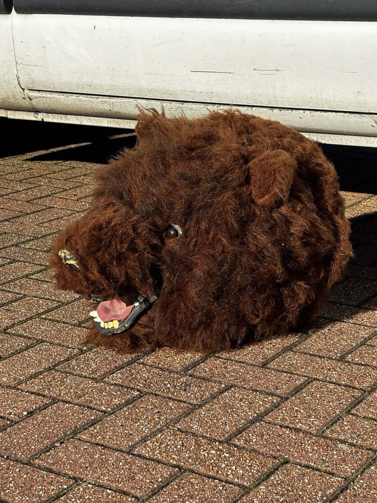 Shop Display Full Size Grizzly Bears Head (This Is Not A Real Bears Head) photo for sale