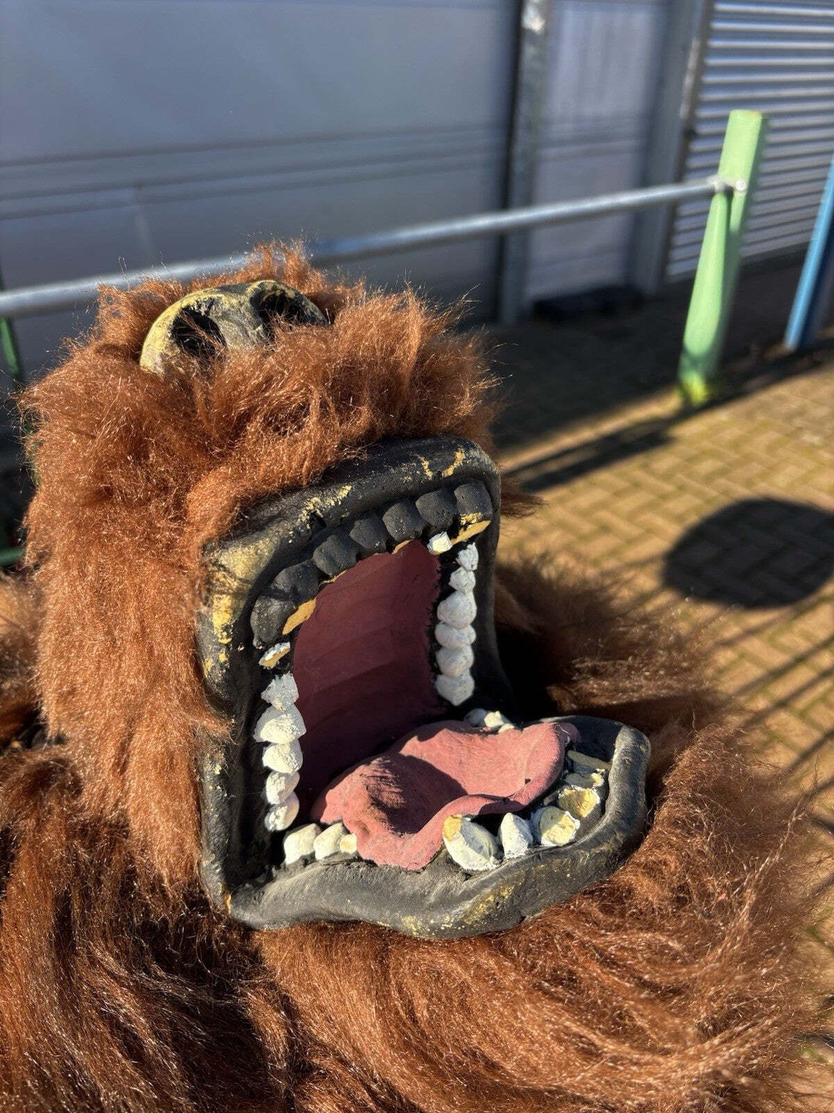 photo furniture Shop Display Full Size Grizzly Bears Head (This Is Not A Real Bears Head)