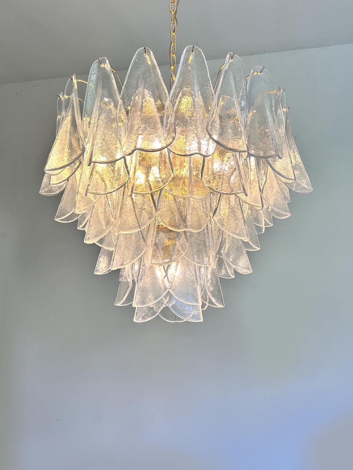 Venetian Transparent “Rondini” Murano Glass Gold Chandelier photo Lighting