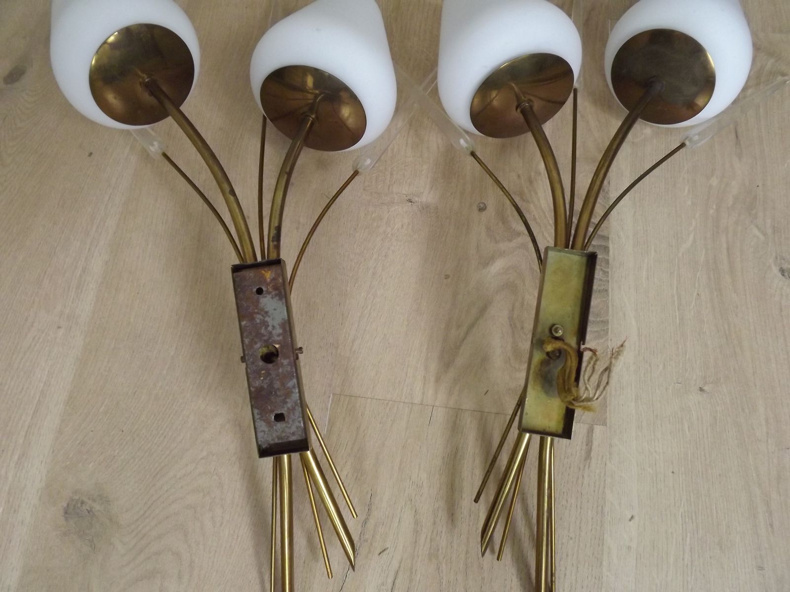 photo vinterior Mid Century French Brass Wall Sconces With Bullrush Design And Opaque Glass Shades