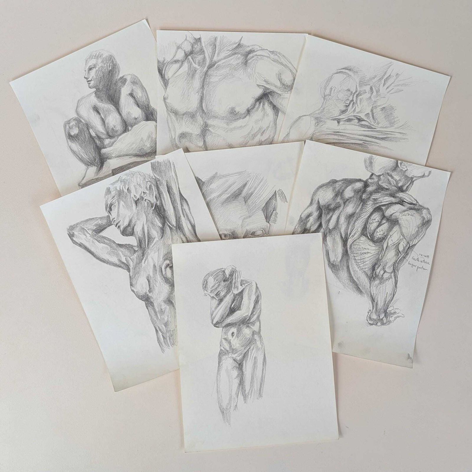 Vintage French Graphite Figure Drawings Set 7 Anatomical Sketches & Nude Studies photo furniture