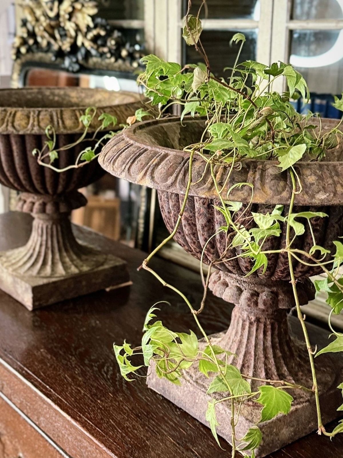 Pair Of Antique French Cast Iron Urns / Planters photo 995.0