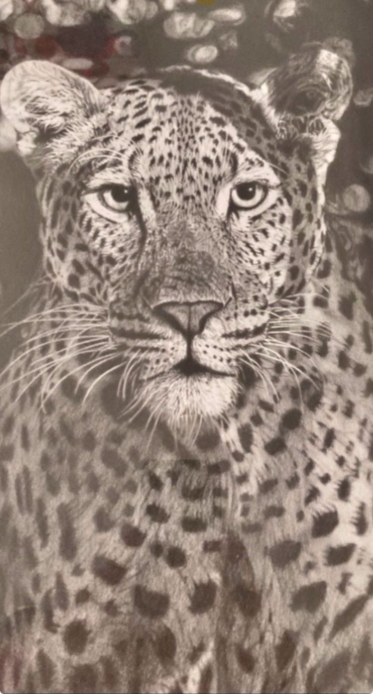 Leon Evans ‘Prince Of Darkness’ – Early Signed Ltd Edition Leopard Art (No. 24/600, 2003) photo furniture