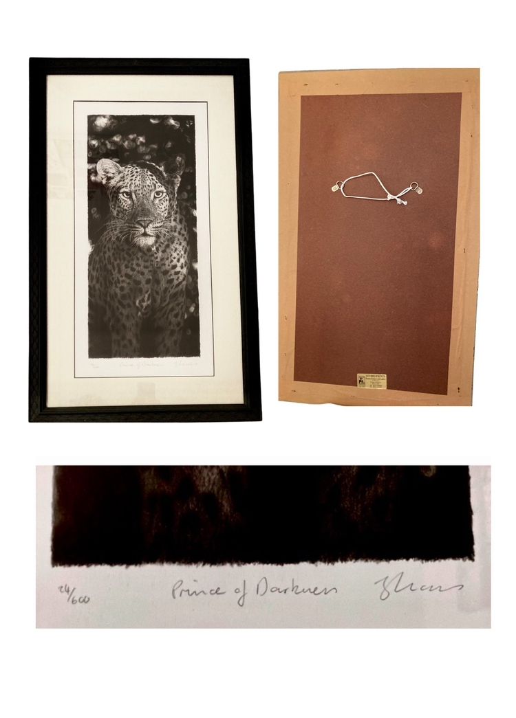 Leon Evans ‘Prince Of Darkness’ – Early Signed Ltd Edition Leopard Art (No. 24/600, 2003) photo buy