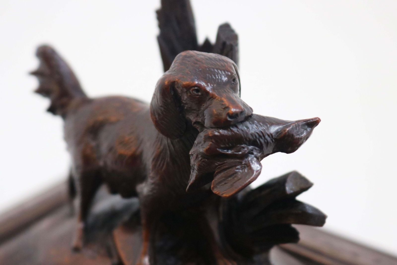 Rare Swiss Black Forest 19th Century Cigar Box / Humidor With Dog Hand Carved photo for sale