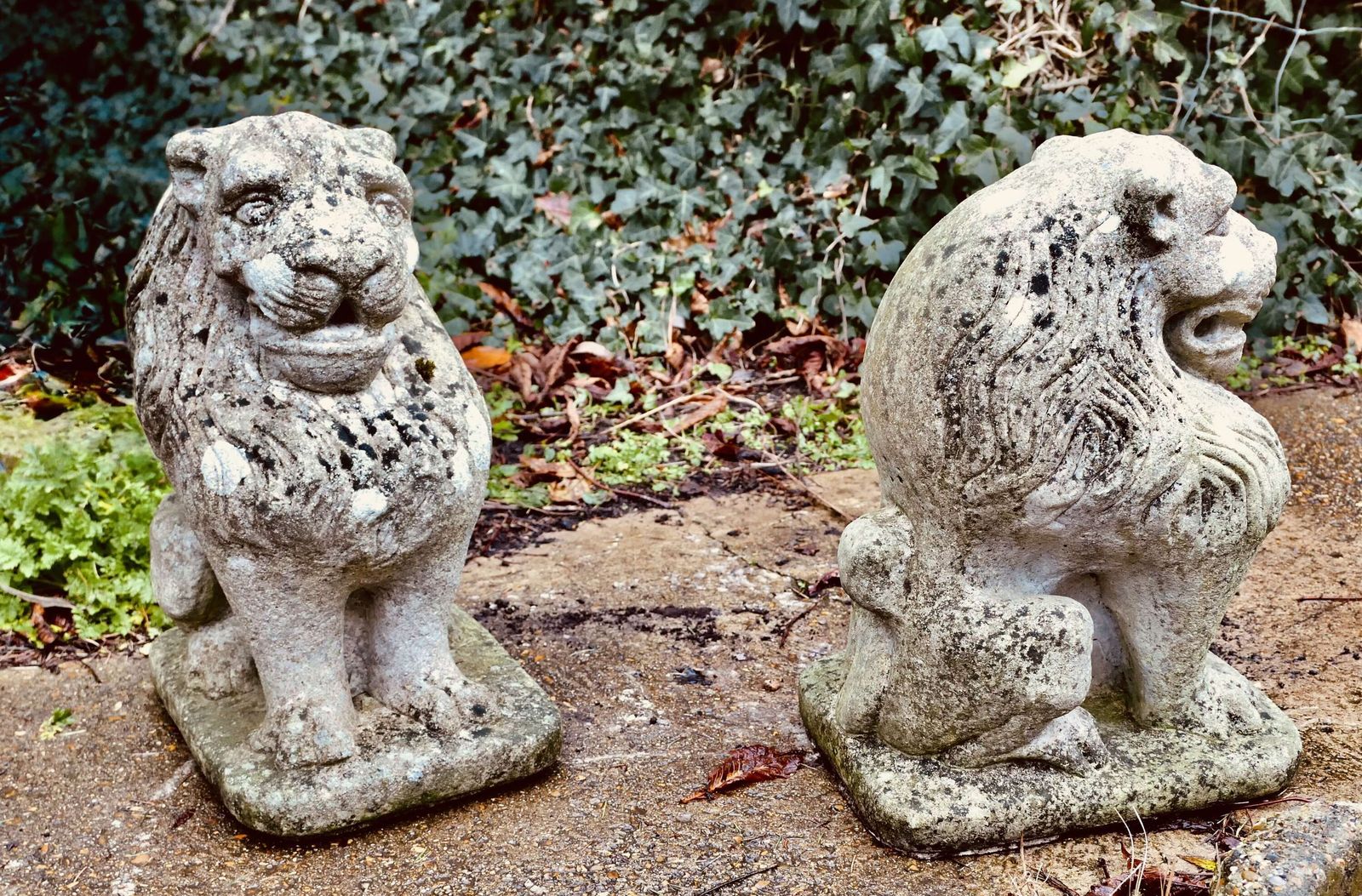 Pair Of Stone Lion Guardians These Are Weathered Statues Of 2 Lions photo vintage