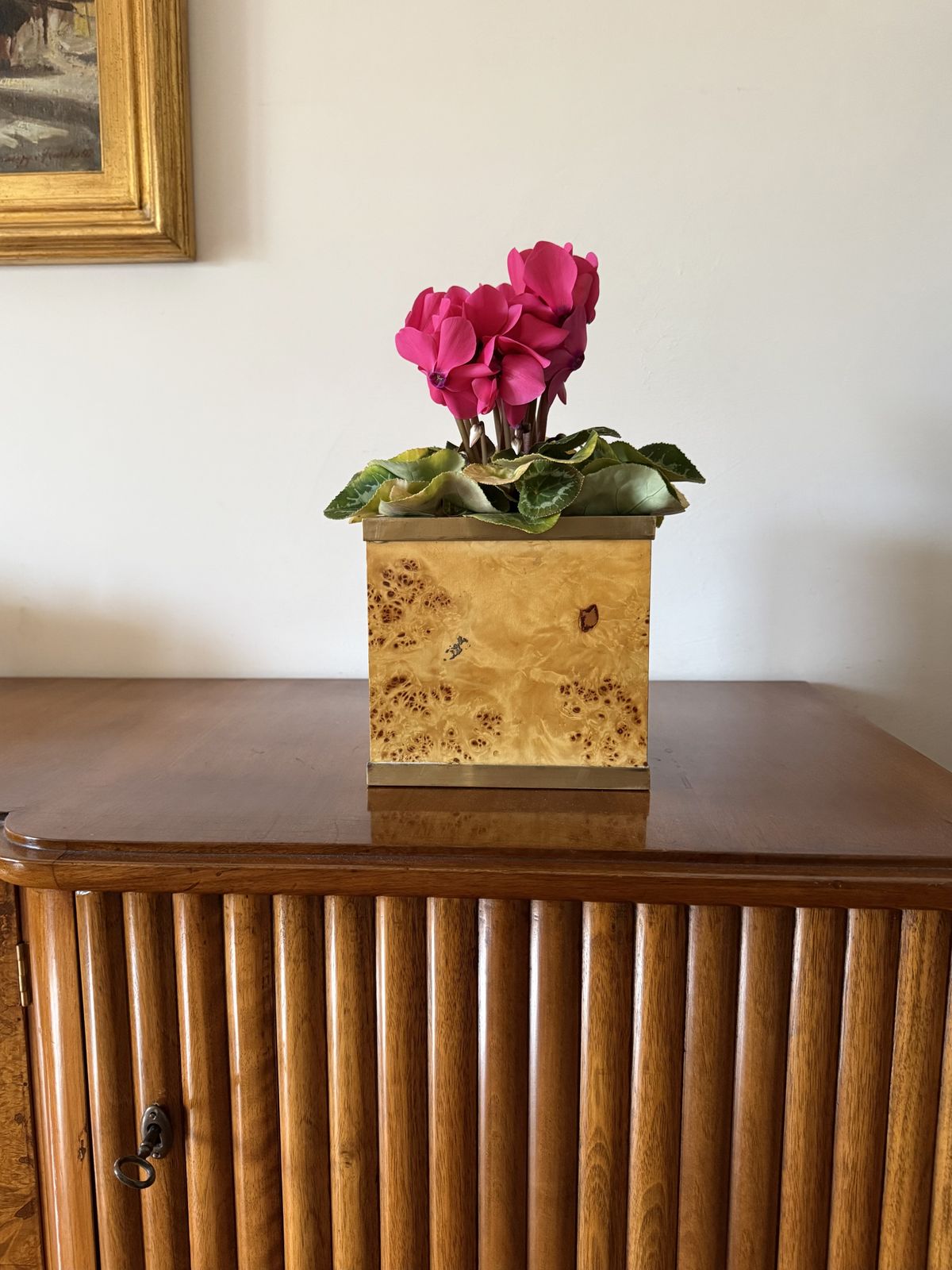Hollywood Regency Burl And Brass Plant Pot, Vivai Del Sud Italy 1970s photo Home Decor