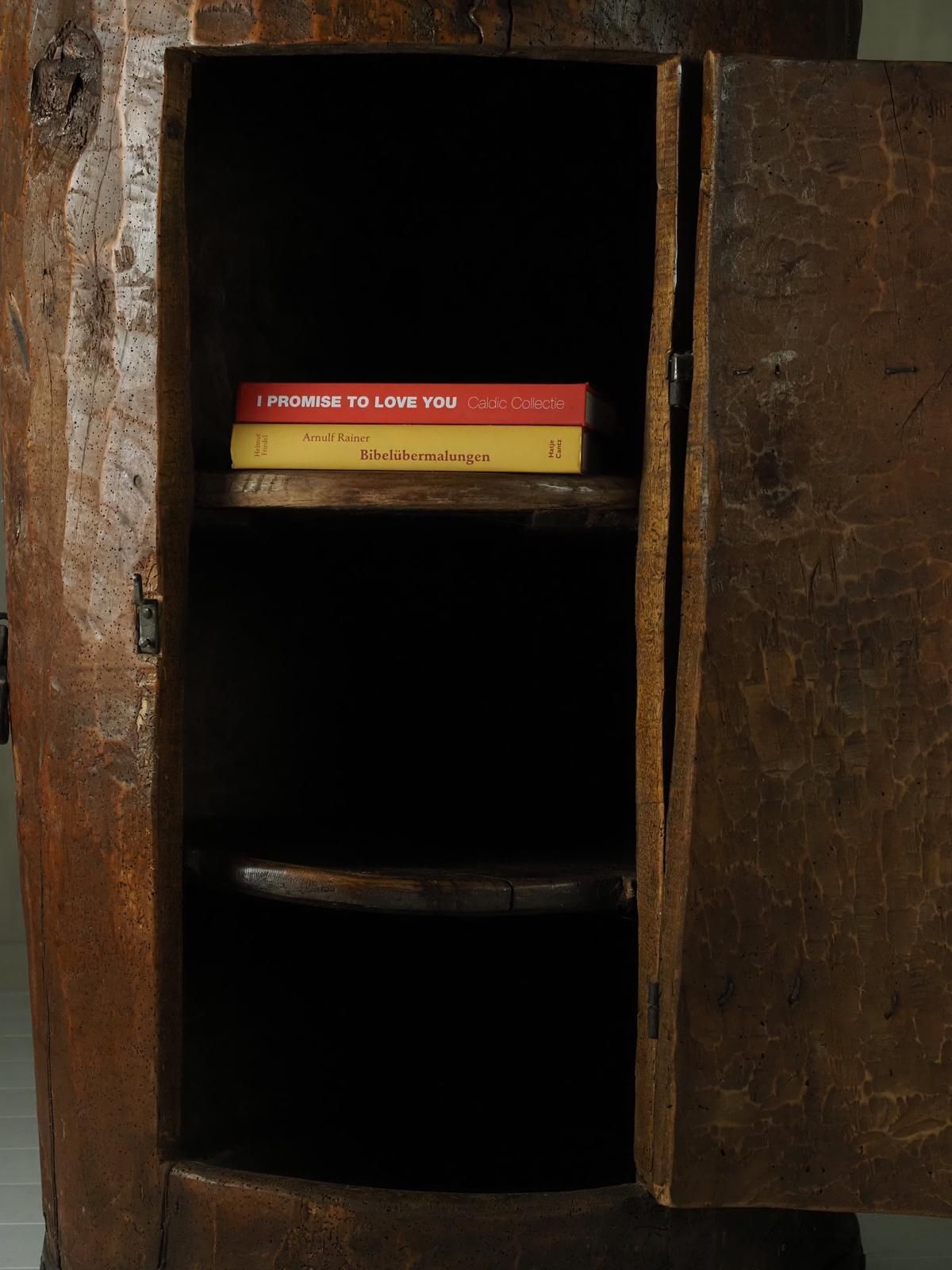 3342.0 Primitive Folk Art Cabinet Made Of An Old Tree Trunk. photo