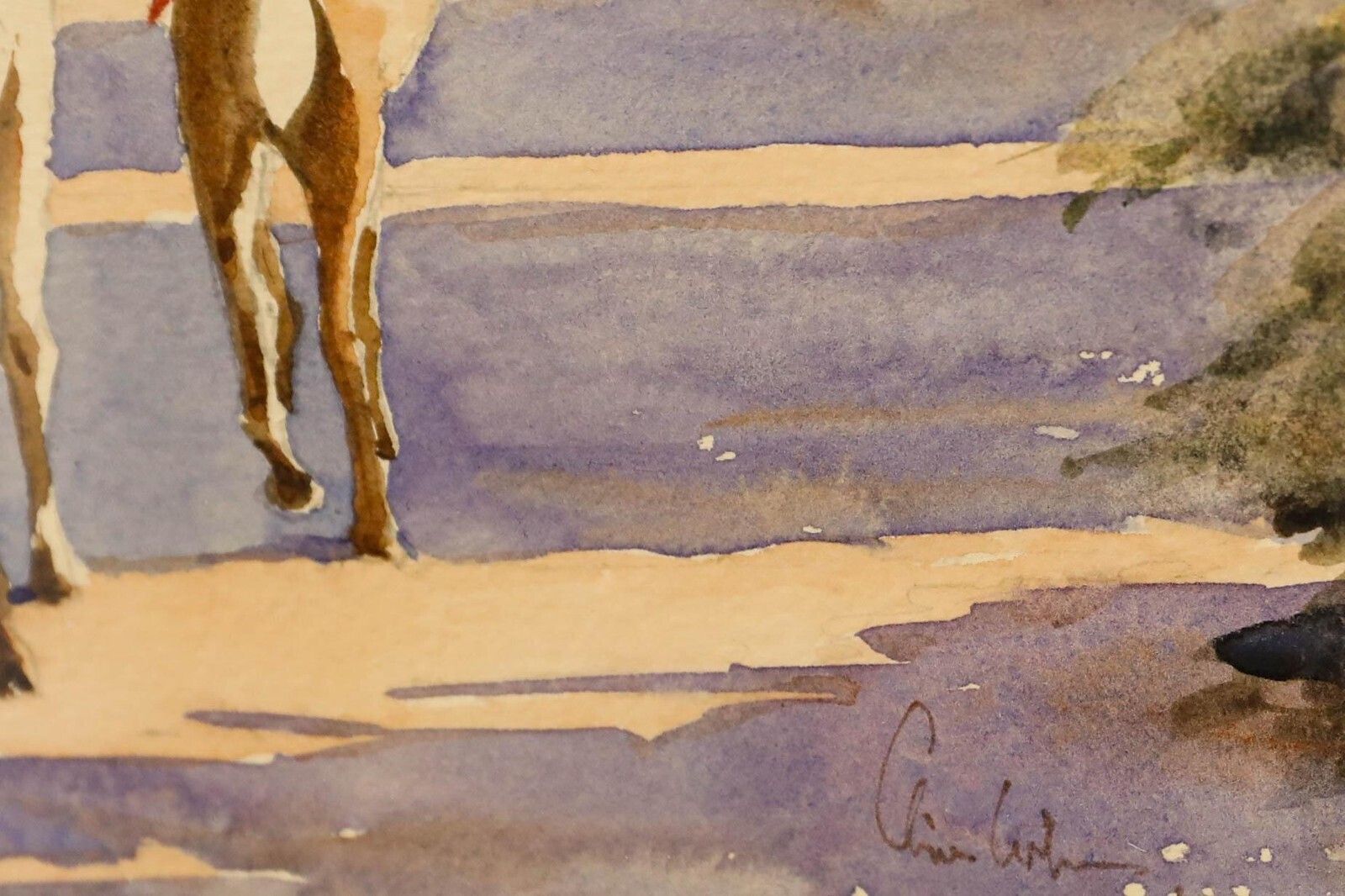 Clive Wilson (B. 1946)   Framed 20th Century Watercolour, Off To Work, Jaisalmer photo 175.0