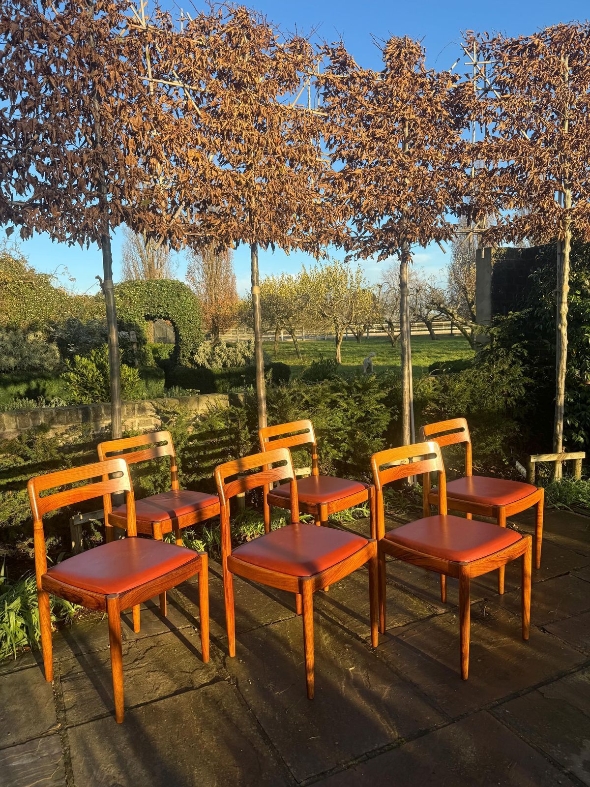 Eight Rosewood Dining Chairs By H W Klein For Bramin Danish 1960 photo furniture